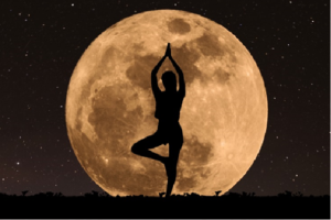 ナイトヨガは基本的なヨガのポーズで一日の疲れもスッキリ。それぞれのちょっと頑張ってるけど心地イイ‼を探ります。ヨガが初めての方、ヨガに慣れている方どちらの方にもオススメのプログラムです。